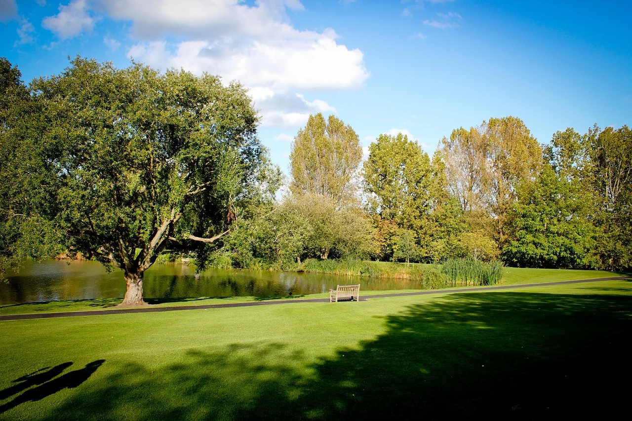 Imperial Blue - Premier Senior Development Finance Provider for Surrey Projects